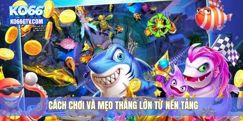 Cách chơi và mẹo thắng lớn từ nền tảng
