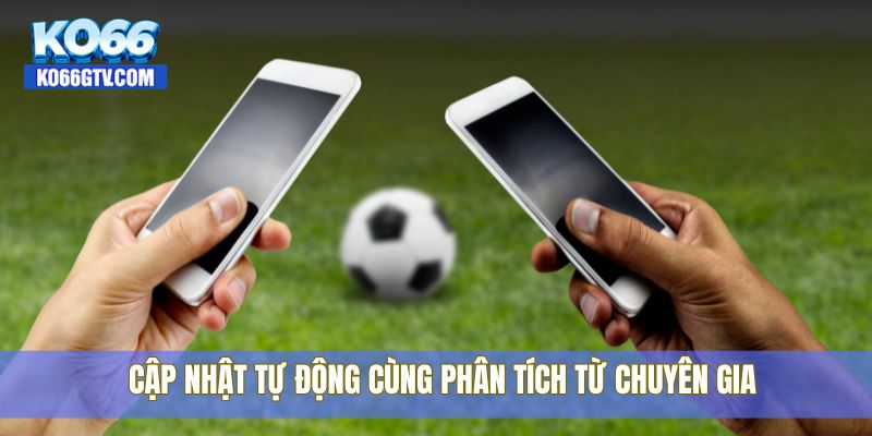 Cập nhật tự động cùng phân tích từ chuyên gia