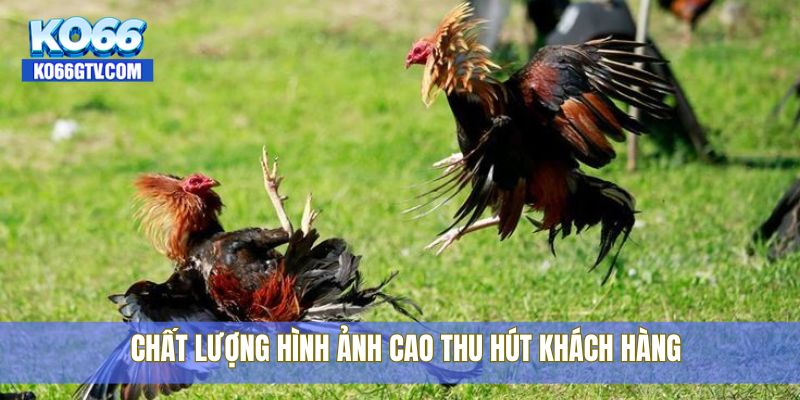 Chất lượng hình ảnh cao thu hút khách hàng