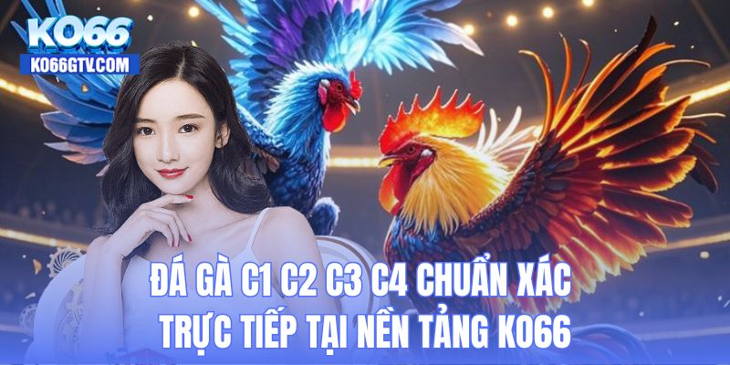 Đá gà C1 C2 C3 C4