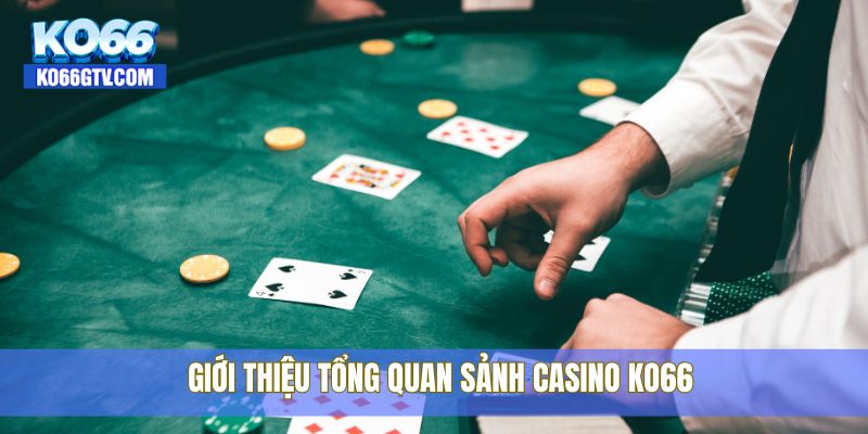 Giới thiệu tổng quan sảnh casino KO66