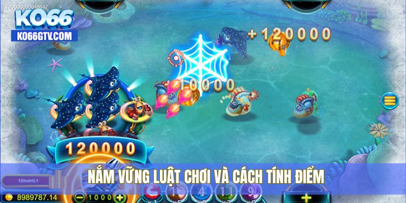 Nắm vững luật chơi và cách tính điểm