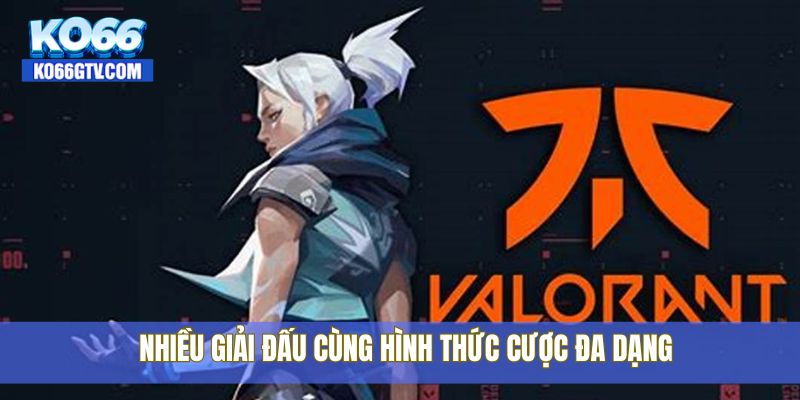 Nhiều giải đấu cùng hình thức cược đa dạng