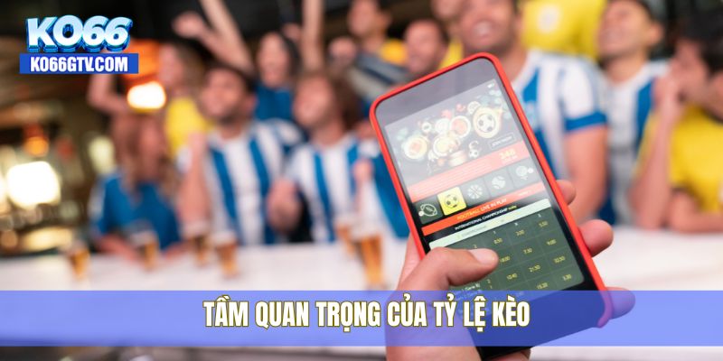 Tầm quan trọng của tỷ lệ kèo
