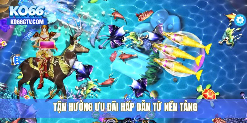 Tận hưởng ưu đãi hấp dẫn từ nền tảng