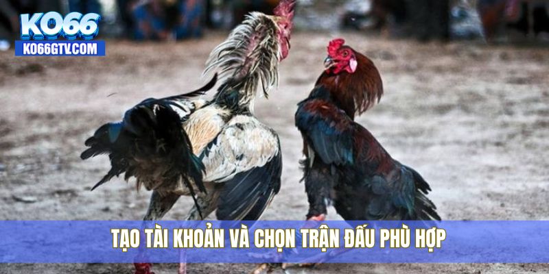Tạo tài khoản và chọn trận đấu phù hợp