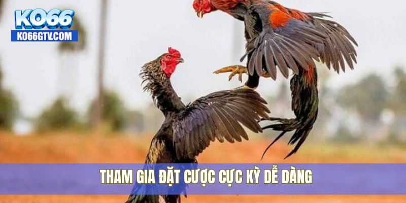 Tham gia đặt cược cực kỳ dễ dàng