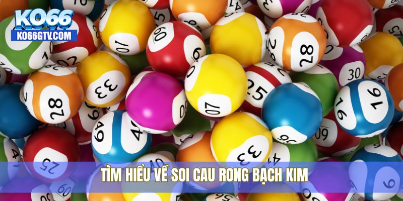 Tìm hiểu về soi cau rong bạch kim