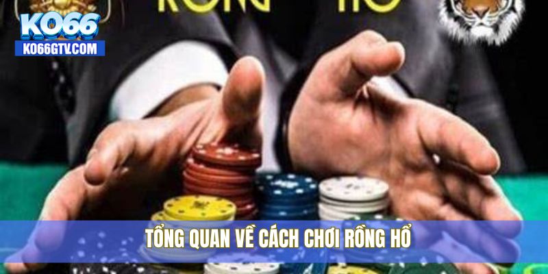 Tổng quan về cách chơi rồng hổ